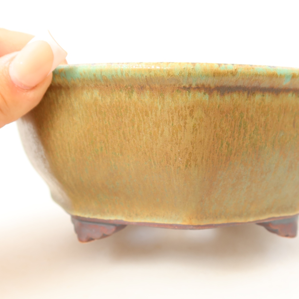 Ceramiczna miska do bonsai 17 x 16 x 6,5 cm, kolor zielony
