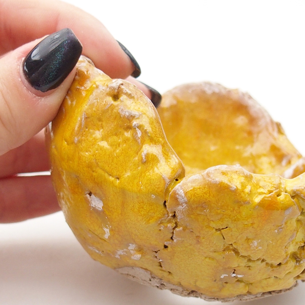 Ceramiczna muszla 9 x 9 x 6 cm, żółta