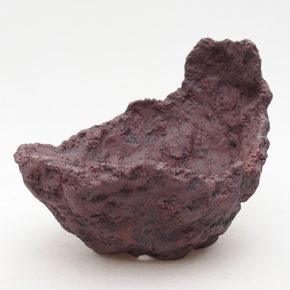 Muszla ceramiczna 14 x 12,5 x 12 cm, kolor brązowy