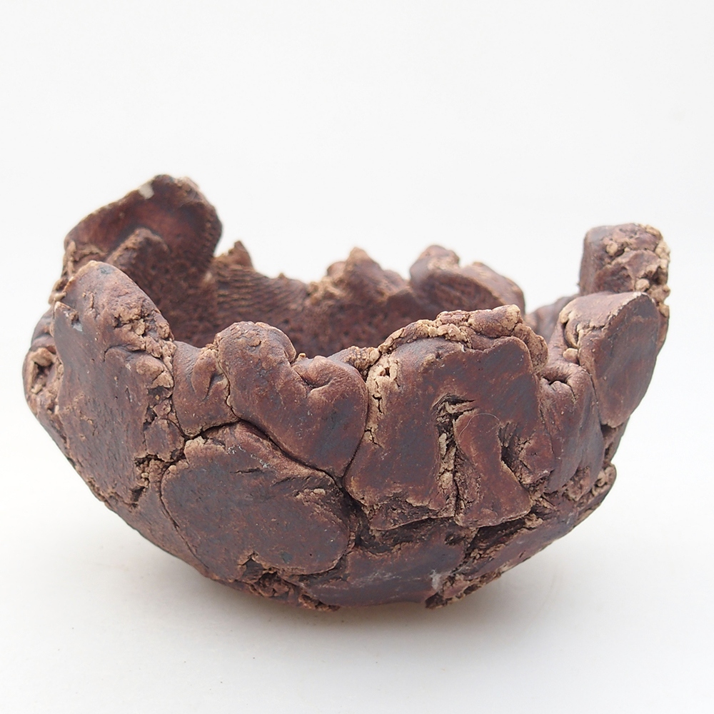 Ceramiczna muszla 9 x 9 x 6 cm, kolor brązowy