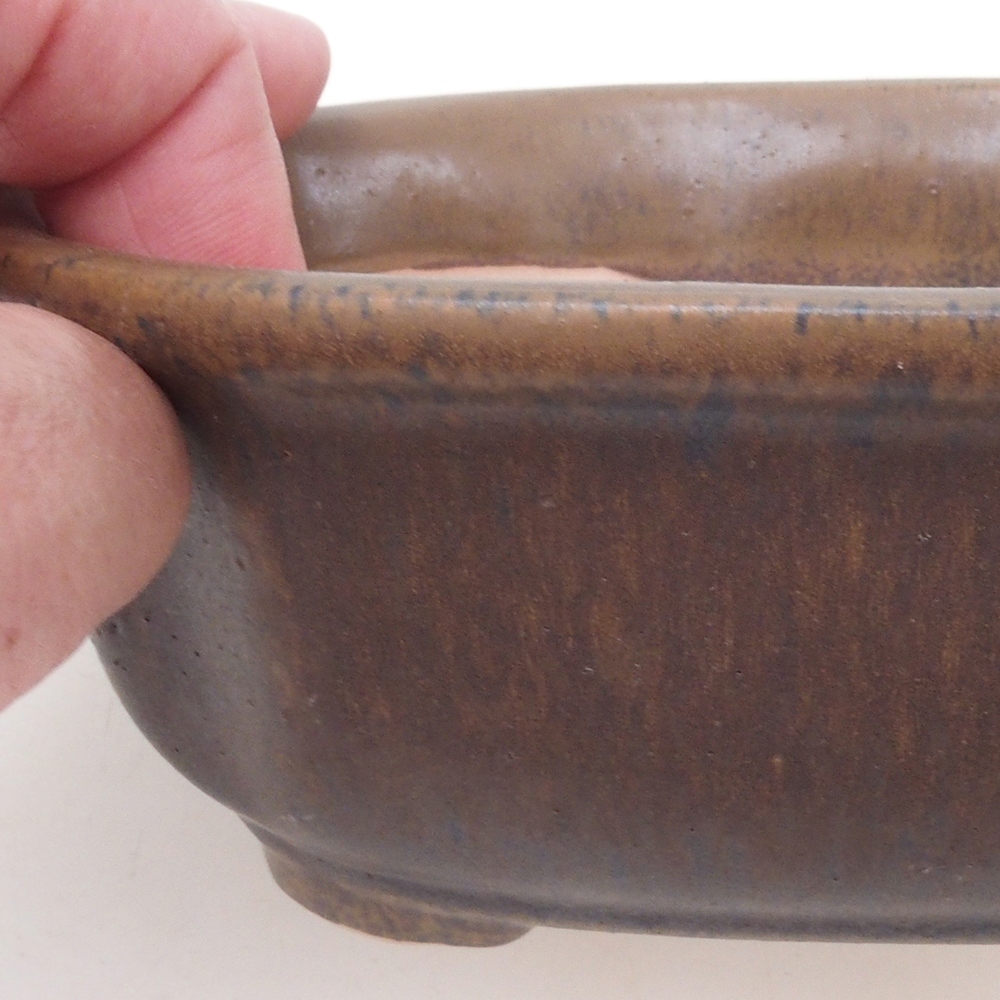 Miska bonsai H31 - 14 x 12 x 5,5 cm. - brązowy