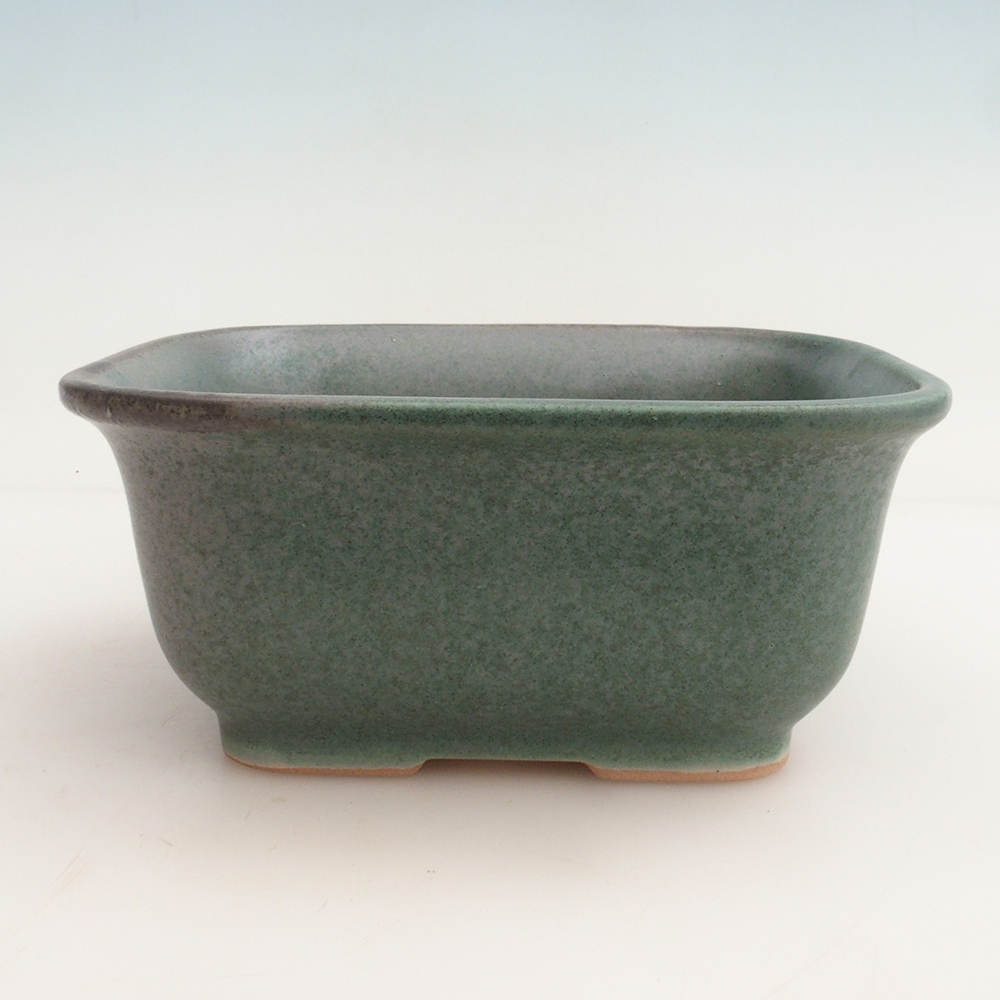 Bonsai bowl H36 - 17 x 15 x 7,5 cm. - zielony
