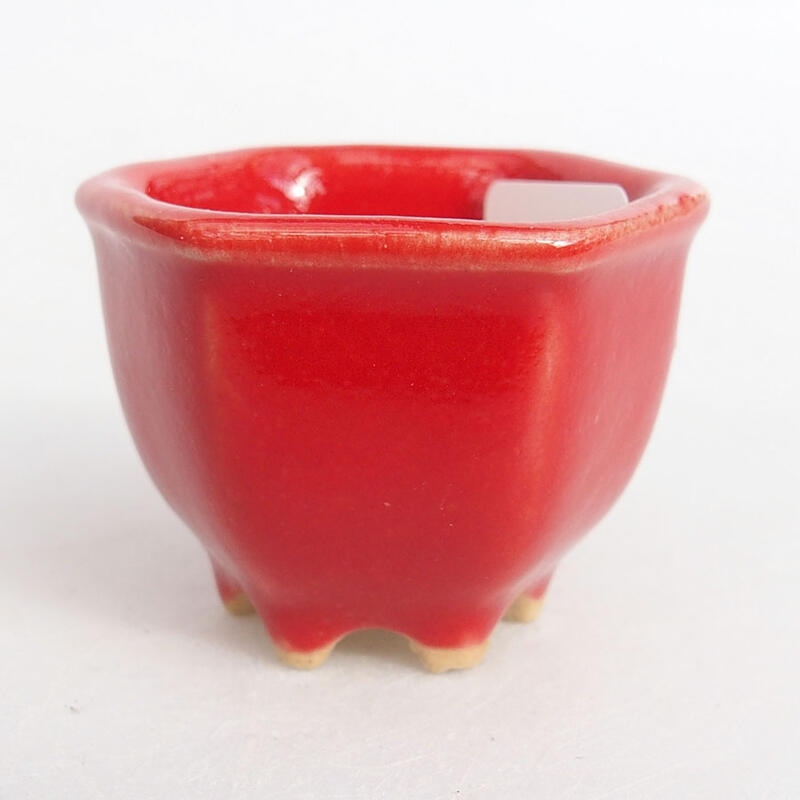 Mini miska bonsai 3,5 x 3,5 x 3 cm, kolor czerwony