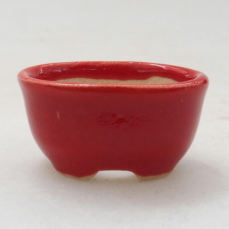 Mini miska bonsai 3 x 2,5 x 1,5 cm, kolor czerwony