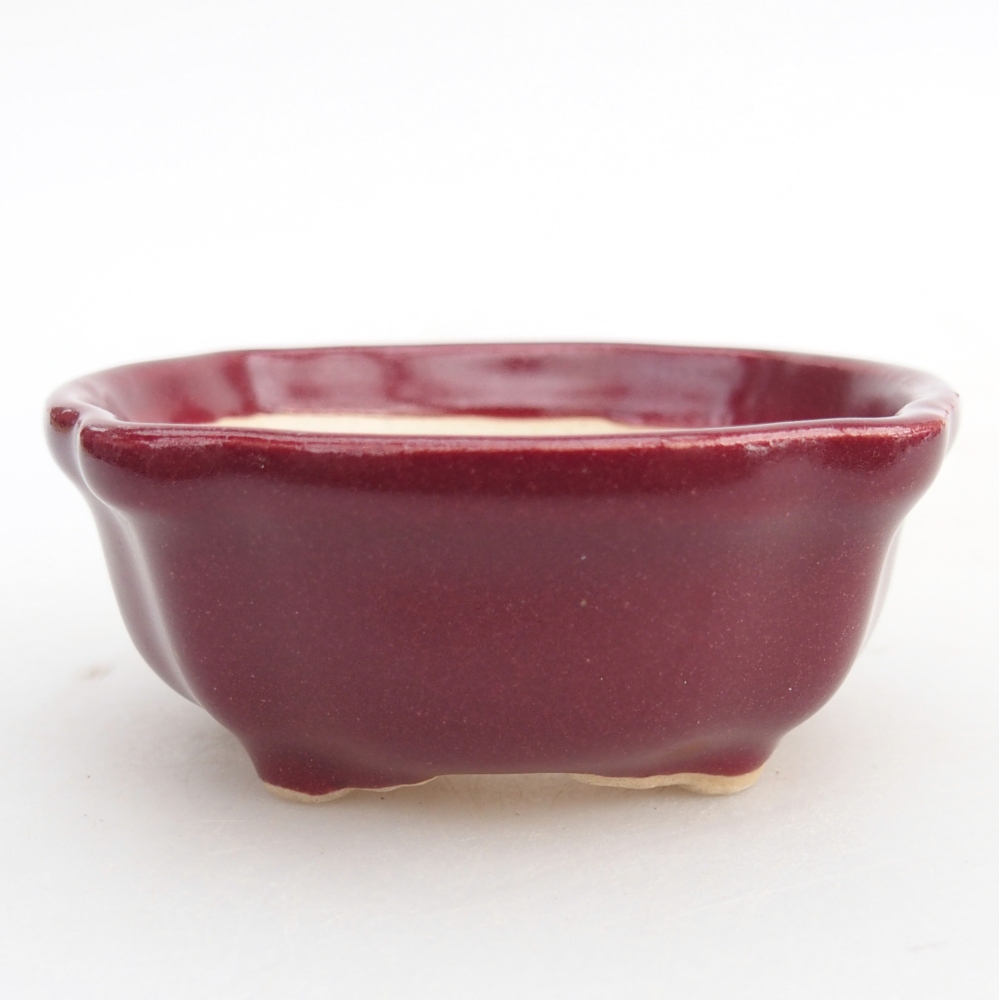 Mini miska do bonsai 6,5 x 6,5 x 3 cm, bordowa