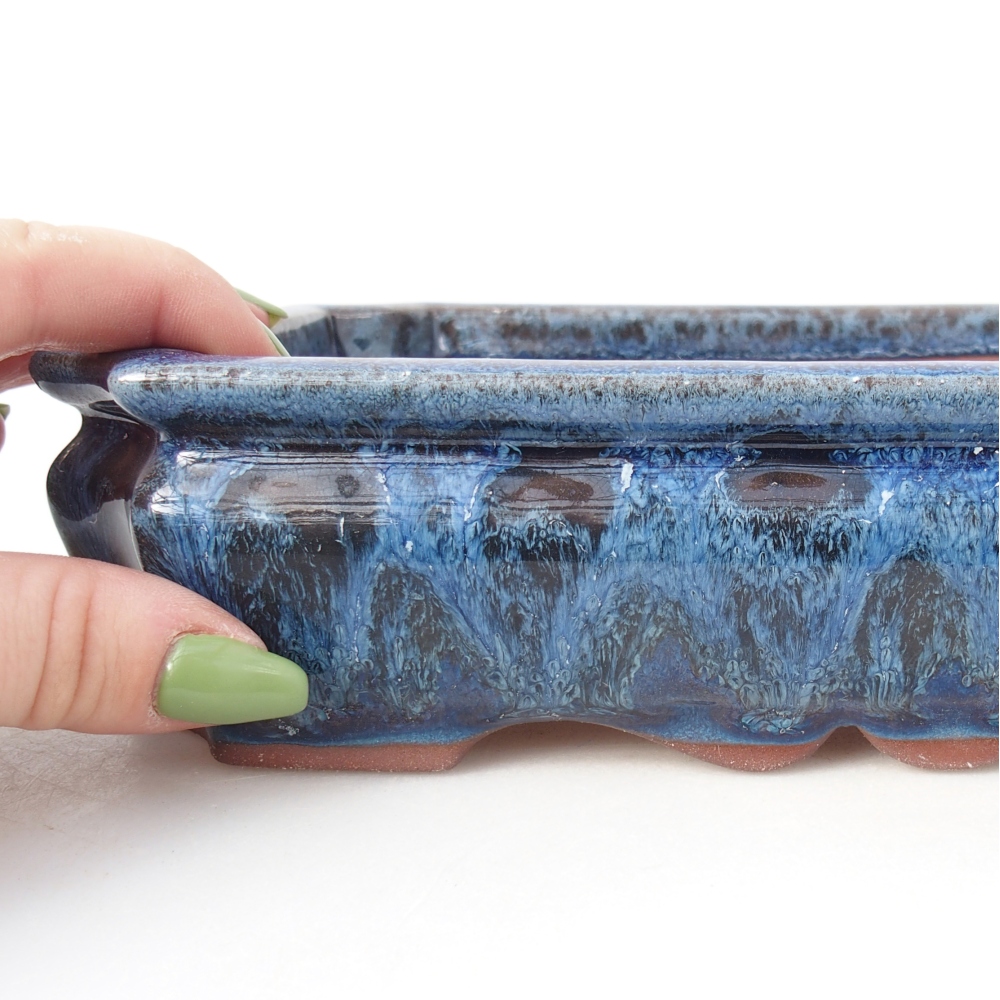 Miska 21,5 x 26,5 x 4 cm niebiesko-biała