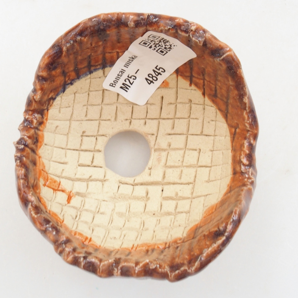 Muszla ceramiczna 7,5 x 7 x 6 cm, kolor brązowy