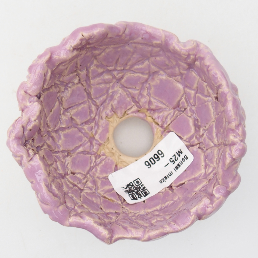 Ceramiczna muszla 9 x 9 x 6 cm, kolor fioletowy