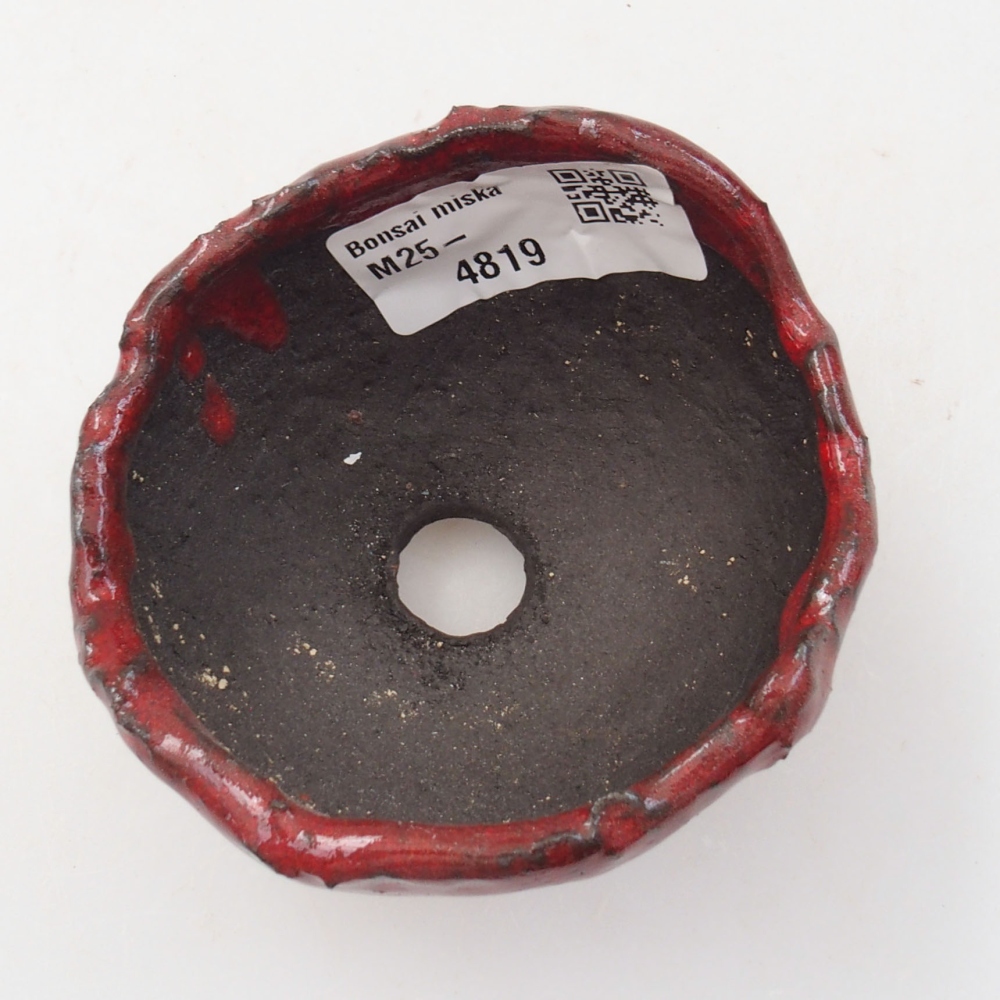 Muszla ceramiczna 7 x 6,5 x 5 cm, kolor czerwony