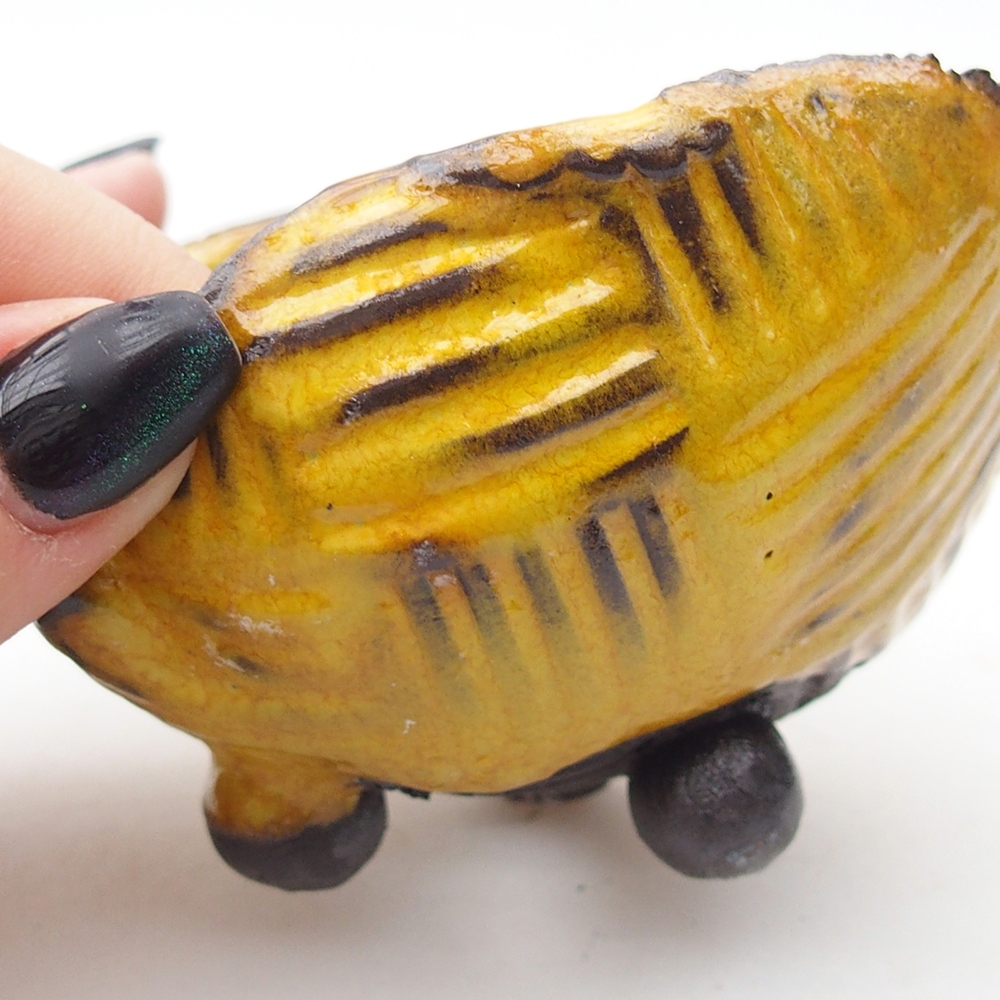 Ceramiczna skorupa 9 x 8 x 5,5 cm, żółta