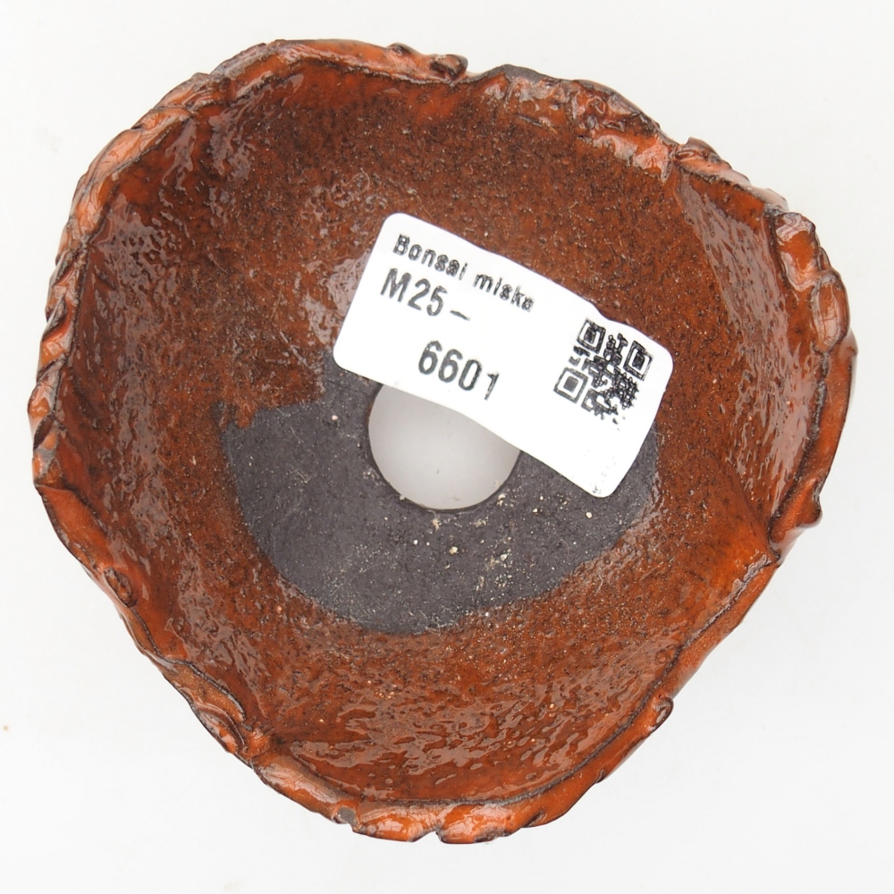 Ceramiczna skorupa 8,5 x 8,5 x 5 cm, kolor pomarańczowy