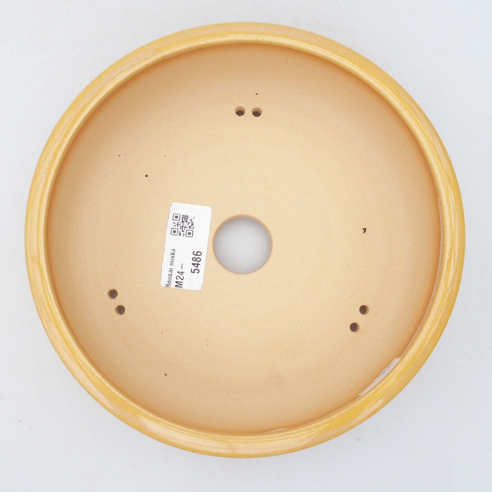 Ceramiczna miska bonsai 18,5 x 18,5 x 6 cm, kolor żółty