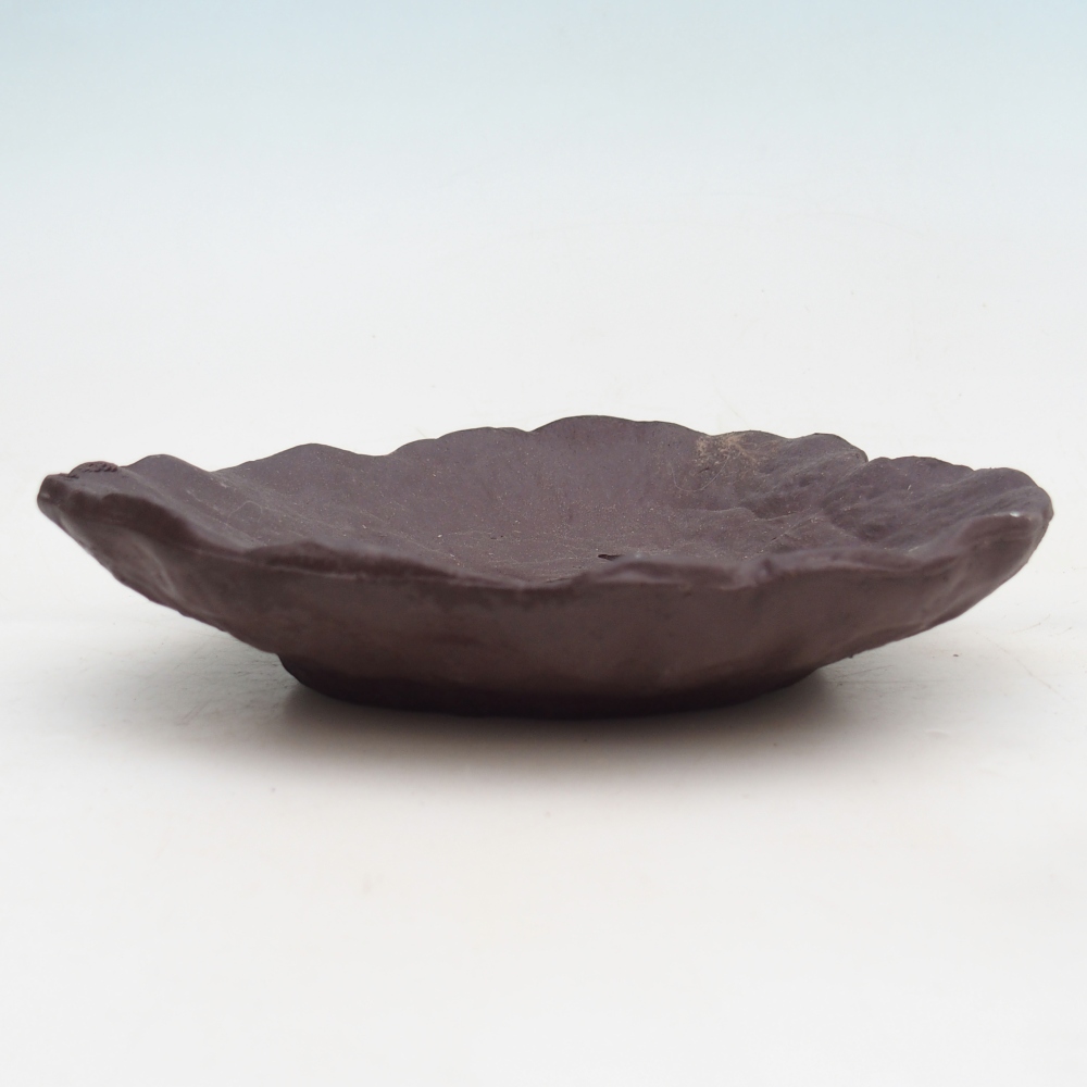 Muszla ceramiczna 16 x 14,5 x 4 cm, kolor brązowy