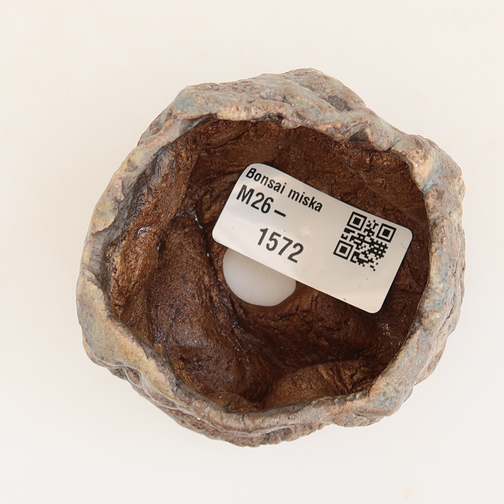 Ceramiczna skorupka  5,5 x 5,5 x 6 cm, kolor niebieski