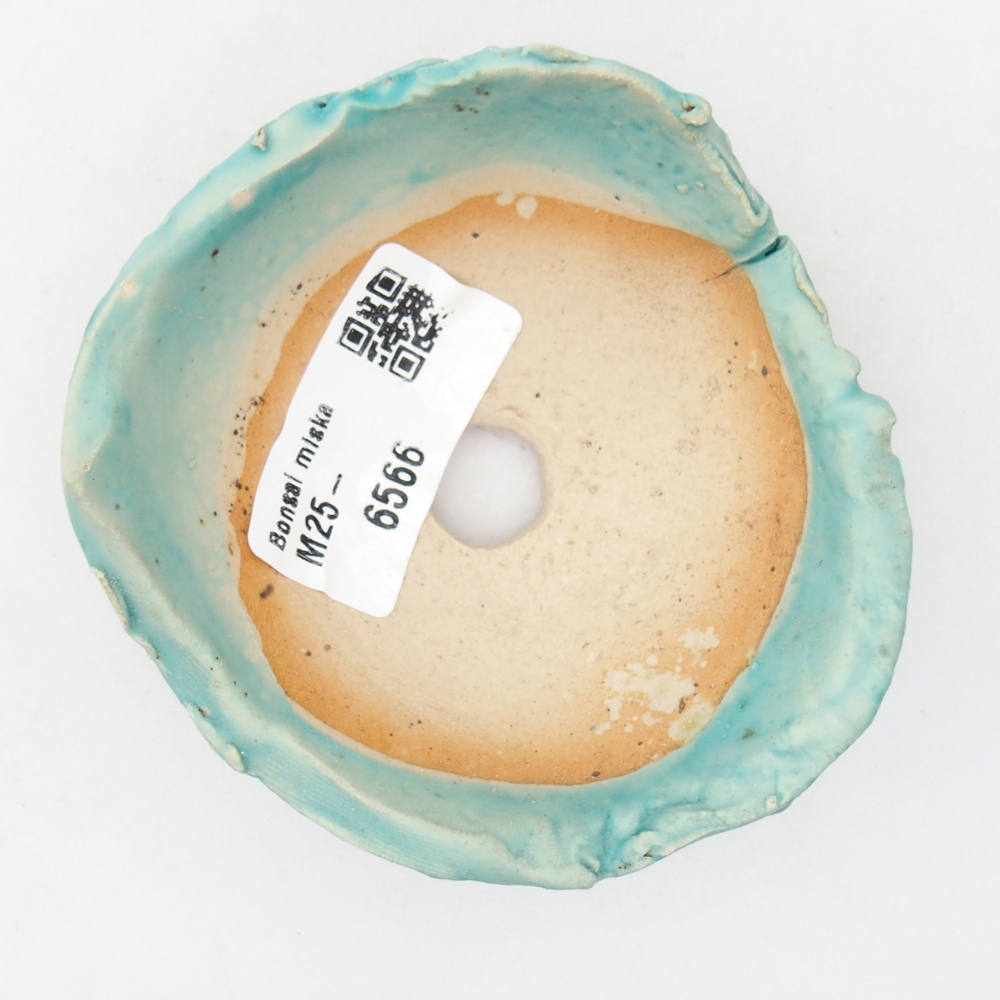 Ceramiczna skorupa 8,5 x 8 x 4 cm, kolor niebieski