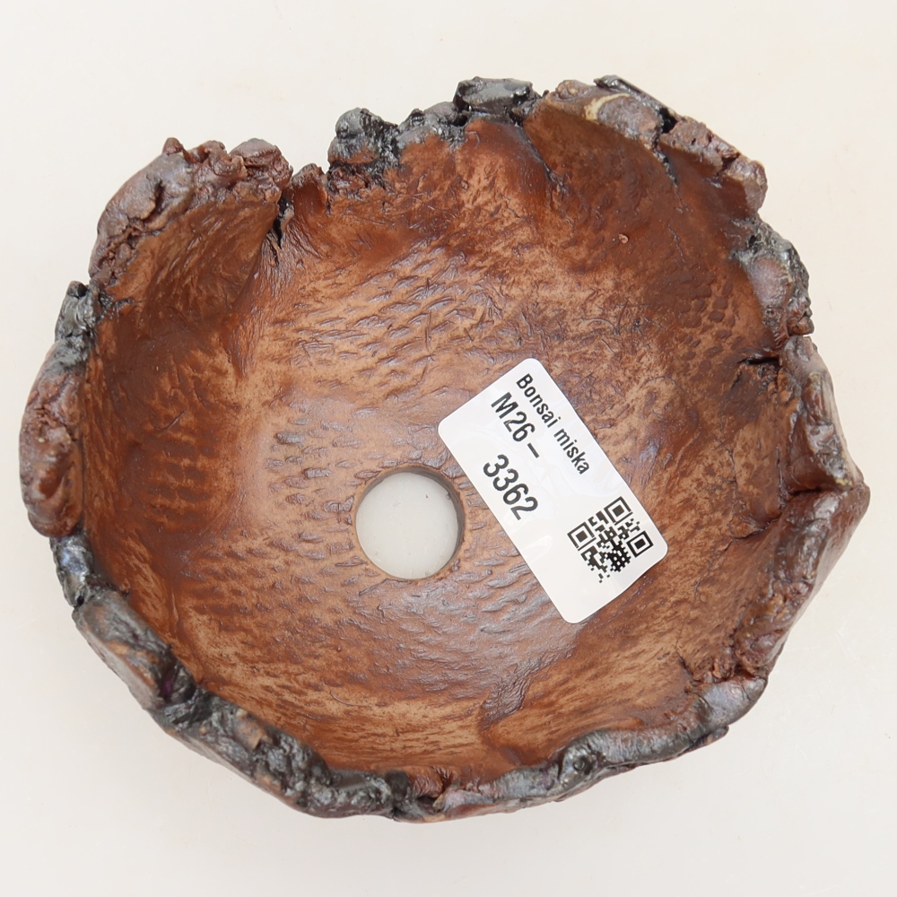 Ceramiczna muszla 11 x 10 x 6,5 cm, kolor brązowy