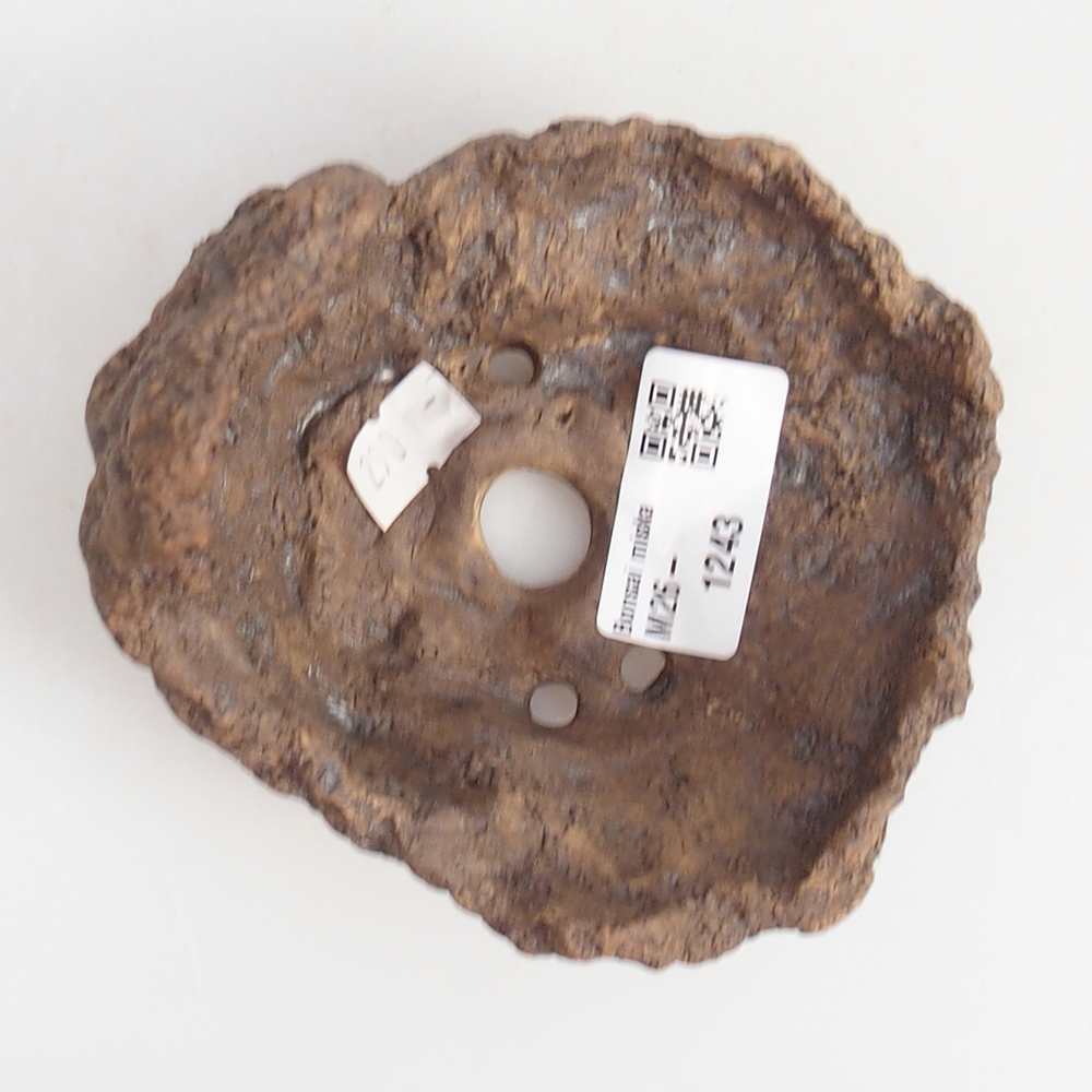 Ceramiczna muszla 10 x 9 x 9 cm, kolor brązowy