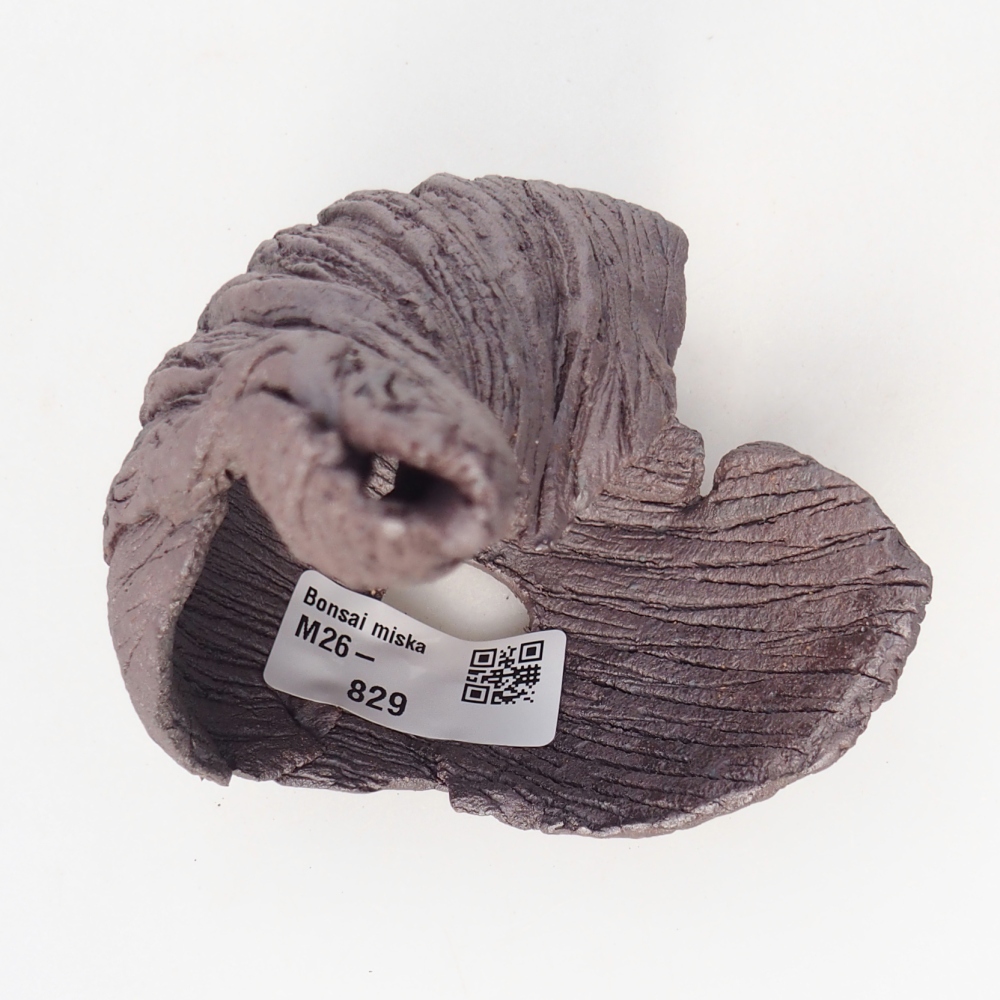 Muszla ceramiczna 8 x 9 x 14 cm, kolor metaliczny