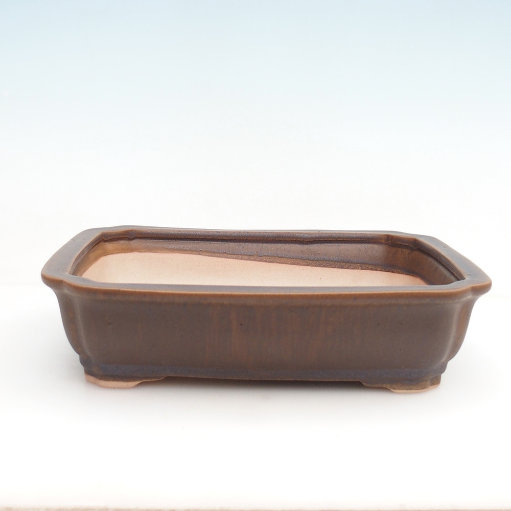 Bonsai bowl H20 - 26,5 x 21,5 x 6,5 cm.