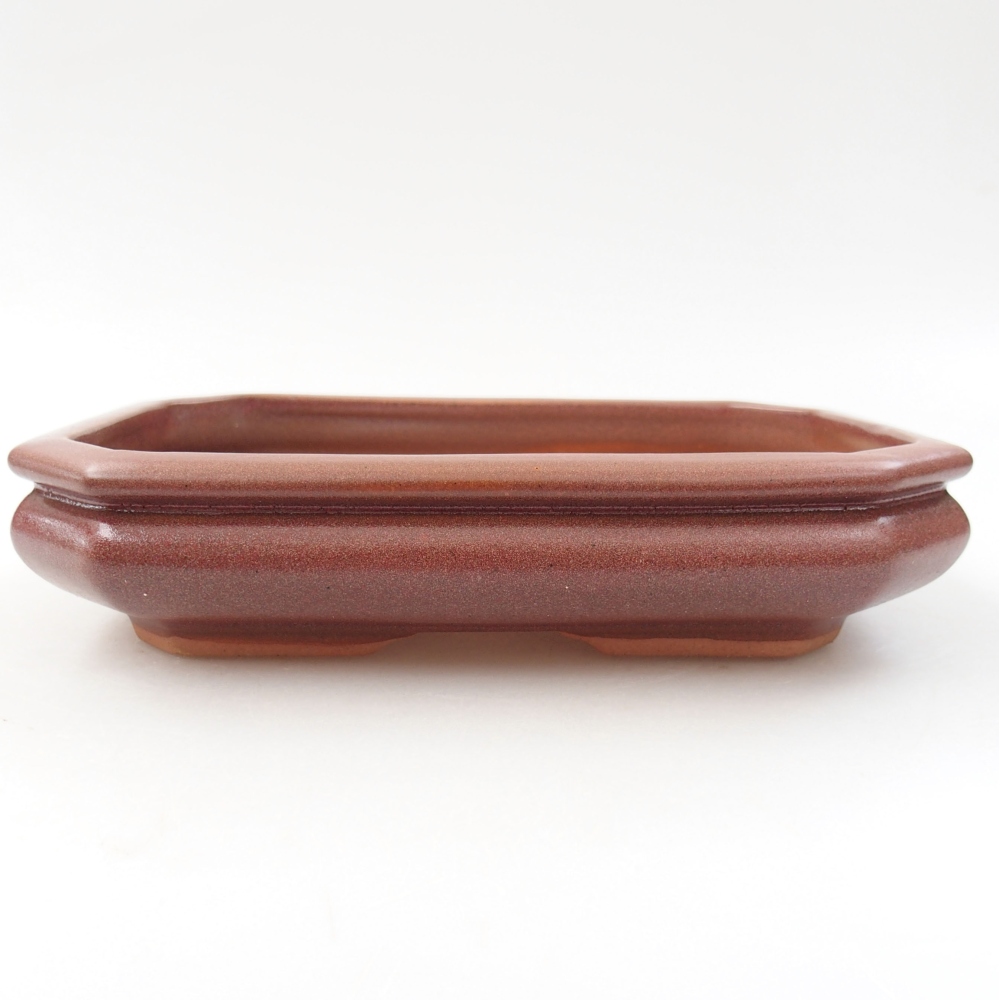 Ceramiczna miska bonsai 18,5 x 13,5 x 4 cm, kolor bordowy