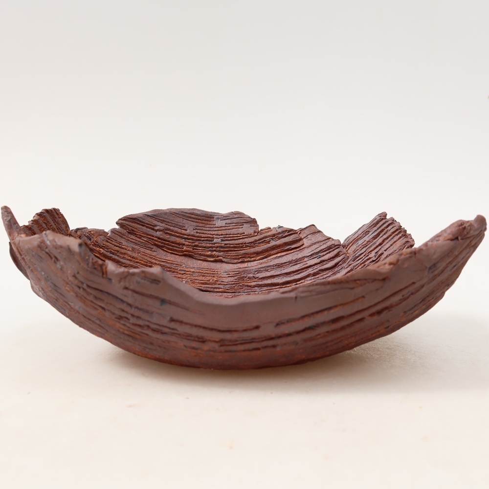 Ceramiczna skorupa  20 x 16 x 7 cm, kolor brązowy