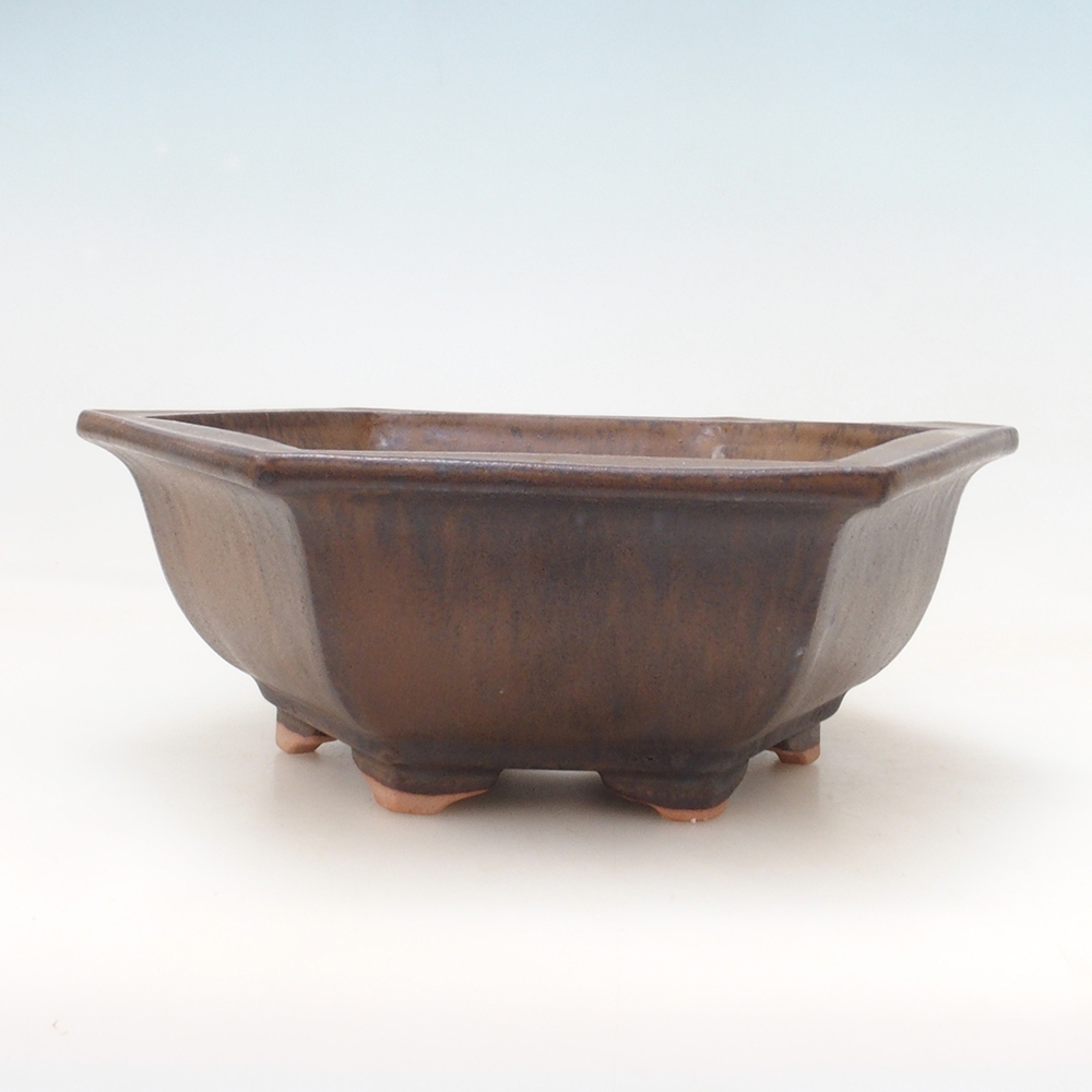 Bonsai bowl H05 - 19 x 21,5 x 7 cm. - brązowy