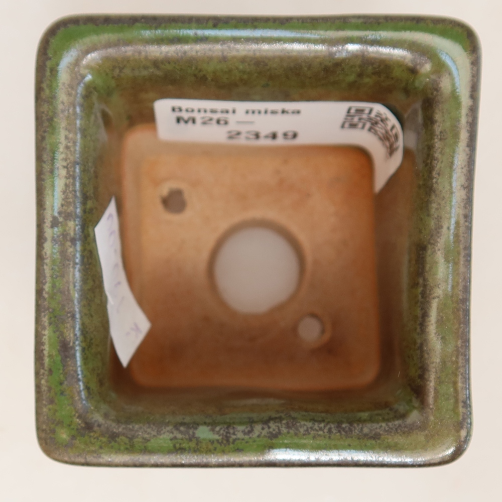 Ceramiczna miseczka do bonsai 6 x 6 x 5,5 cm, kolor zielony