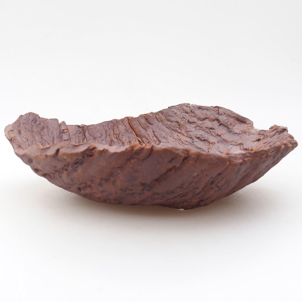 Ceramiczna skorupa 19 x 17 x 5 cm, kolor brązowy