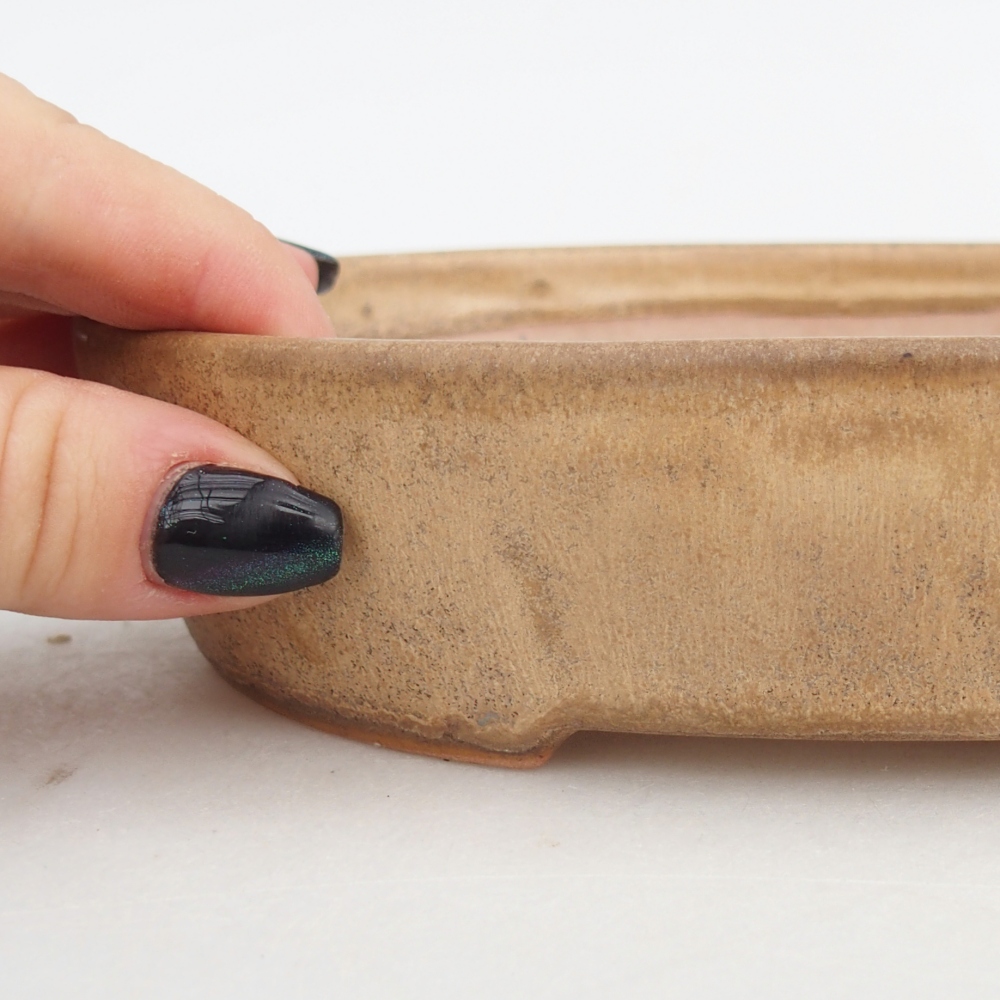 Ceramiczna miska na bonsai 17 x 14 x 4 cm, kolor beżowy