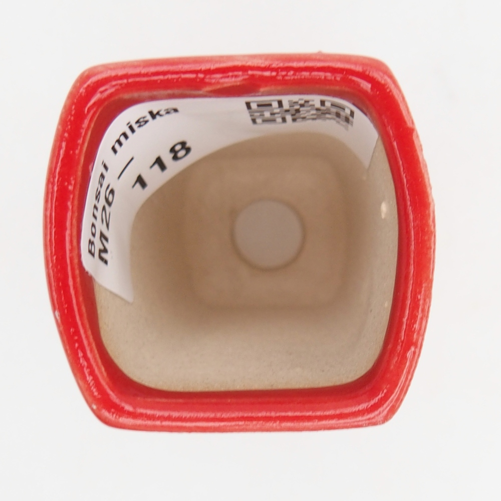 Mini miska do bonsai 3,5 x 3 x 5,5 cm, kolor czerwony