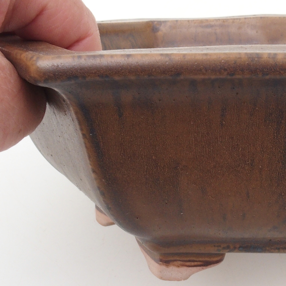 Bonsai bowl H05 - 19 x 21,5 x 7 cm. - brązowy