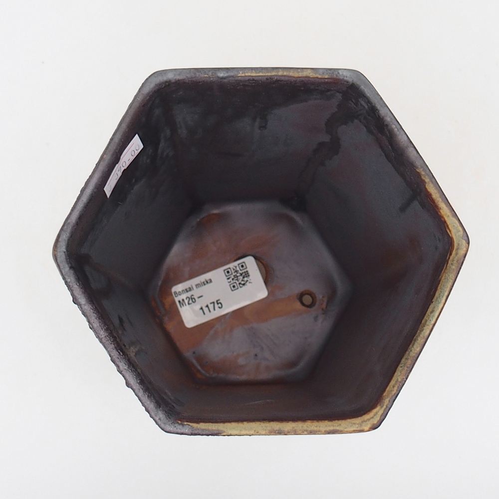 Ceramiczna miska do bonsai 13 x 11,5 x 17 cm, zielona