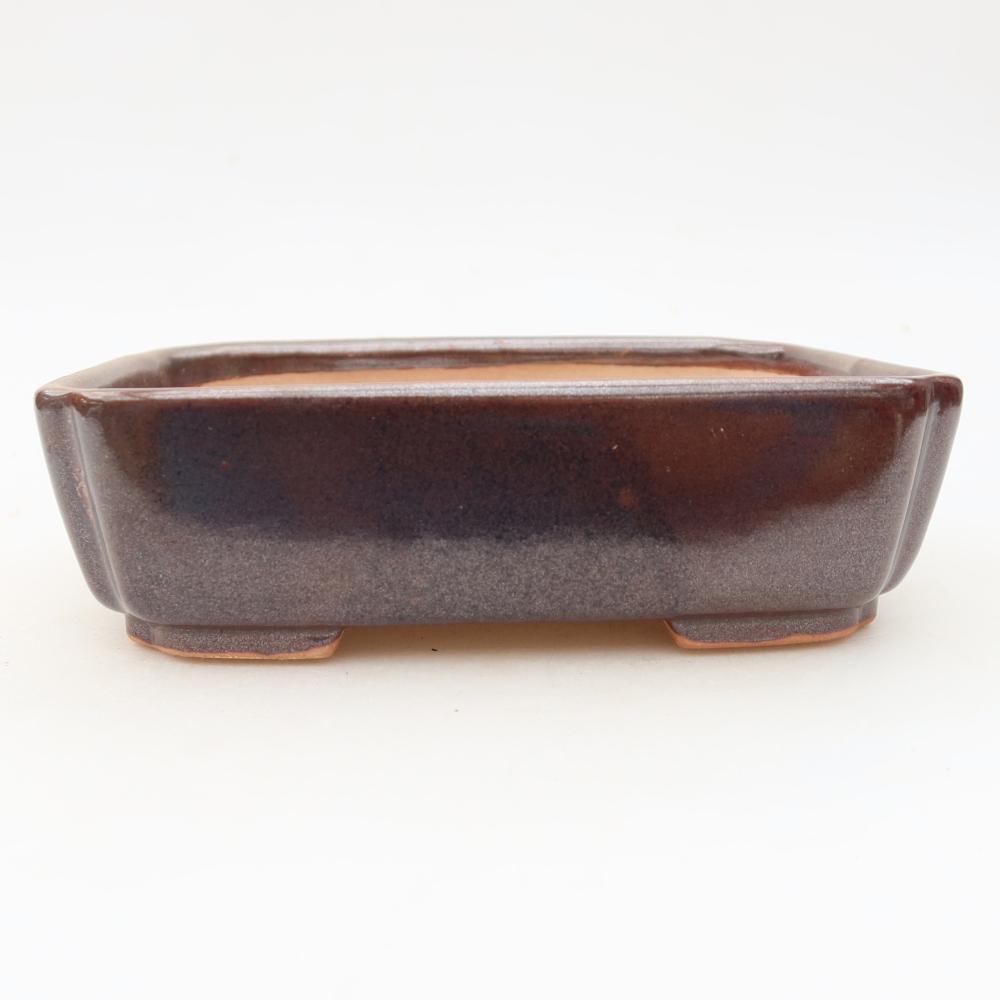 Ceramiczna miska do bonsai 15 x 12,5 x 4,5 cm, kolor brązowy