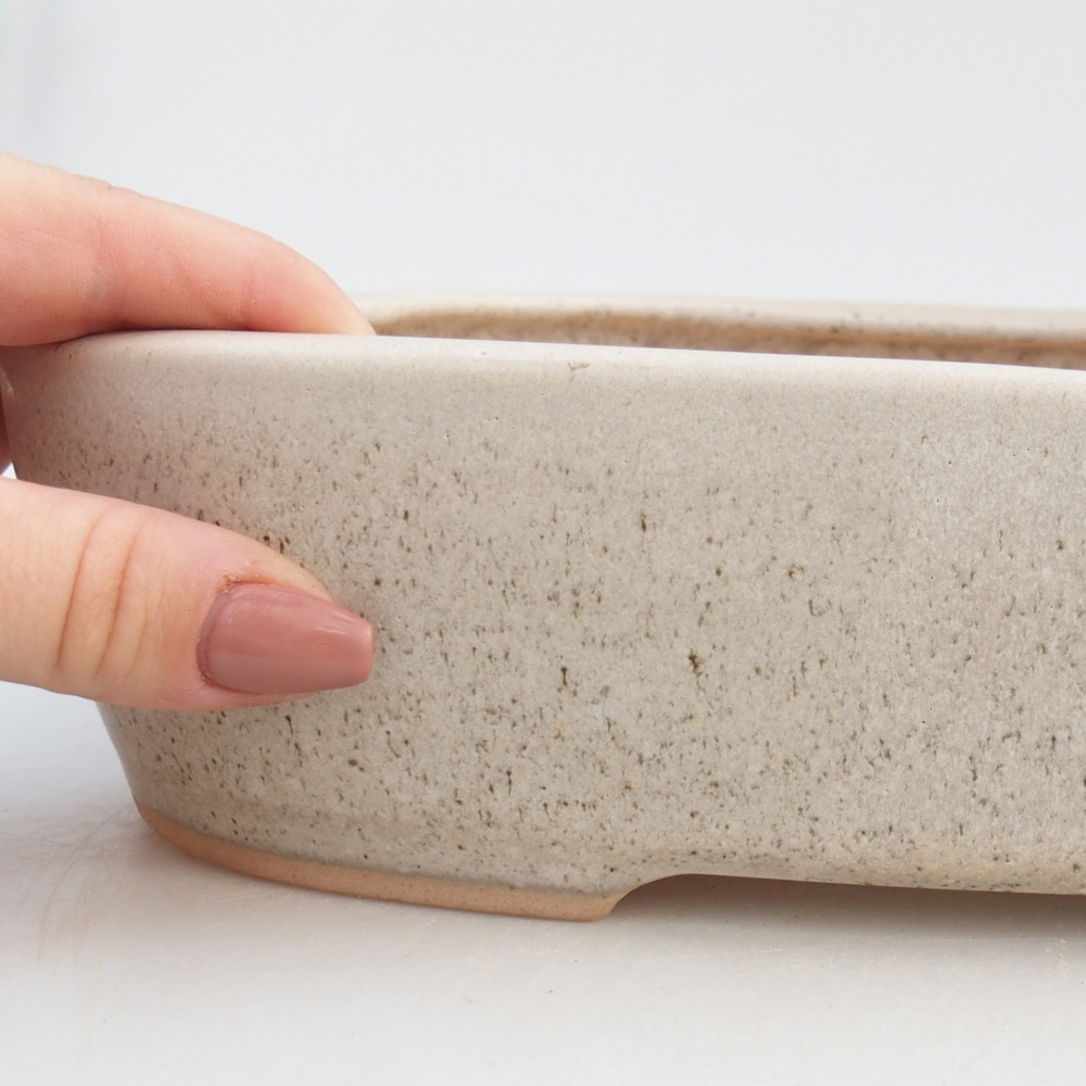 Ceramiczna miska do bonsai 31,5 x 24 x 6 cm, kolor beżowy