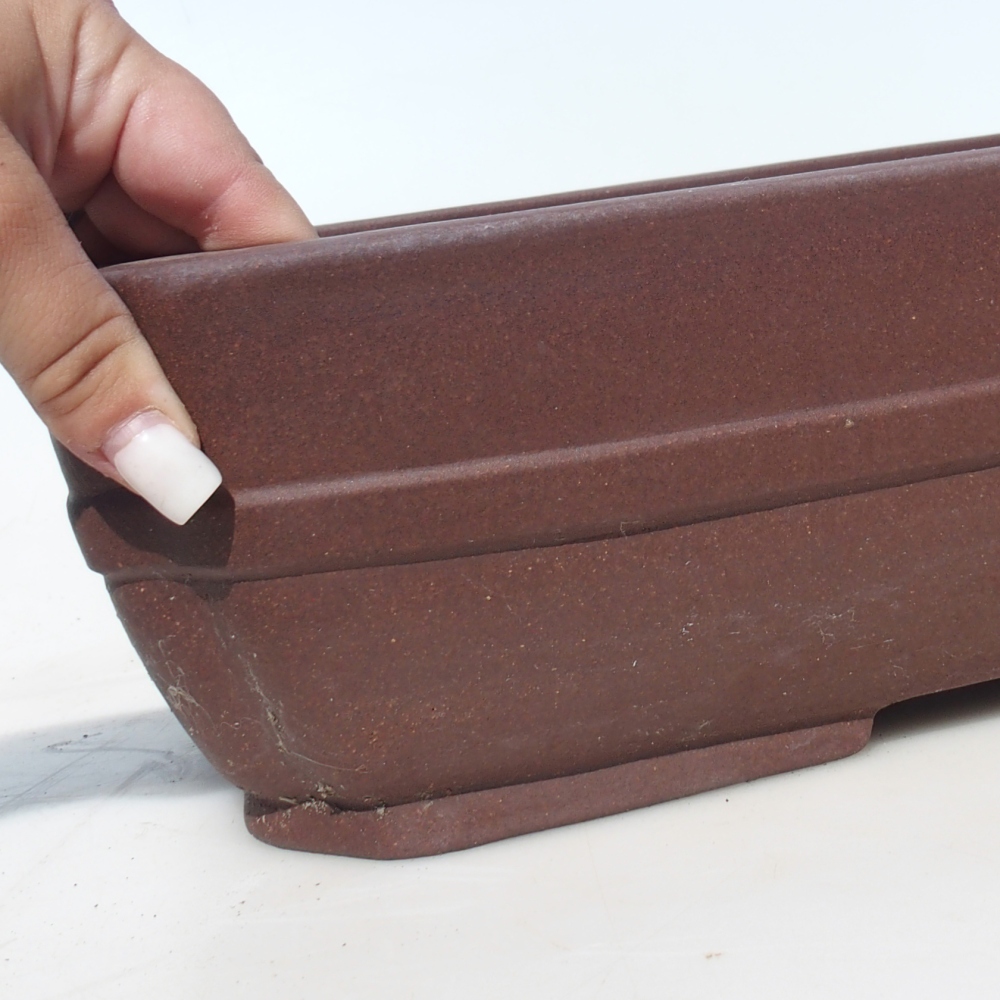 Misa bonsai 41,5 x 32 x 10,5 cm brzoza brązowa