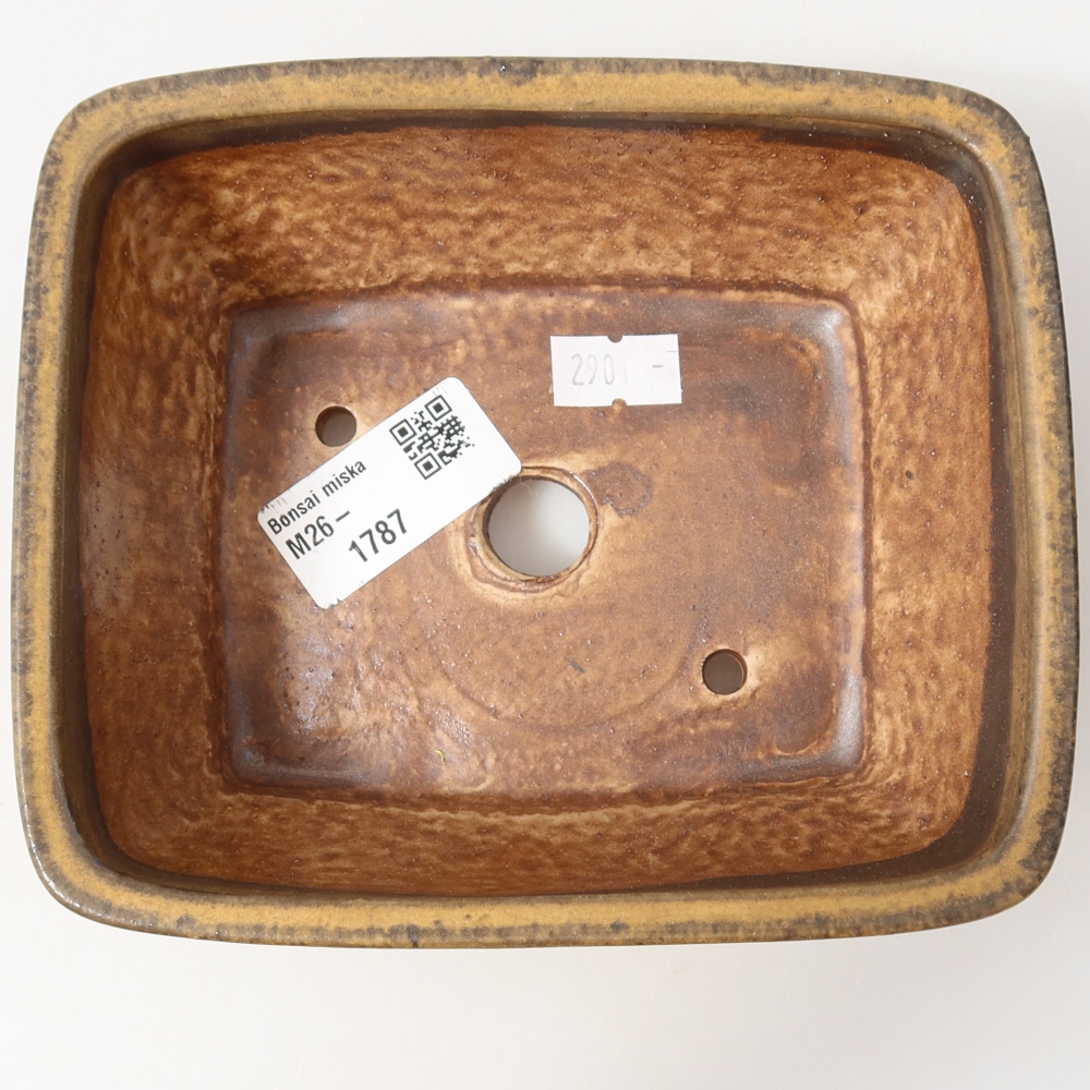 Ceramiczna miska do bonsai 15 x 12 x 5,5 cm, kolor brązowy