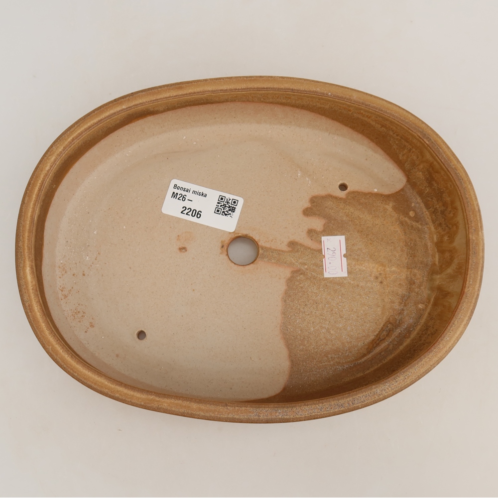 Ceramiczna miska do bonsai 22 x 17 x 4 cm, kolor beżowy
