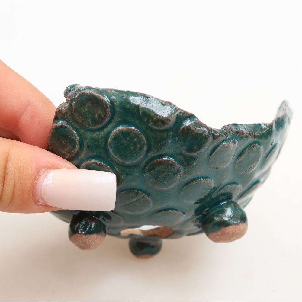 Ceramiczna skorupa  10 x 9 x 6 cm, kolor zielony