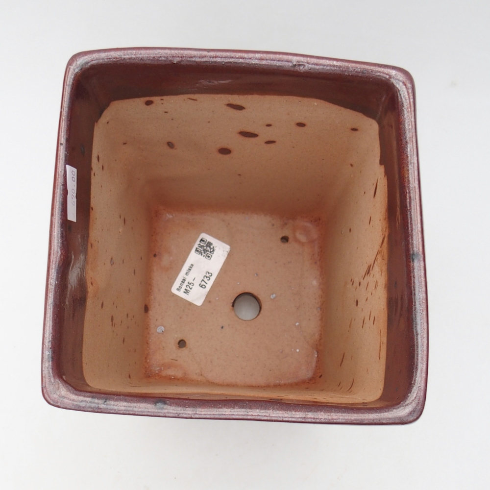 Ceramiczna miska do bonsai 15 x 15 x 19,5 cm, bordowa