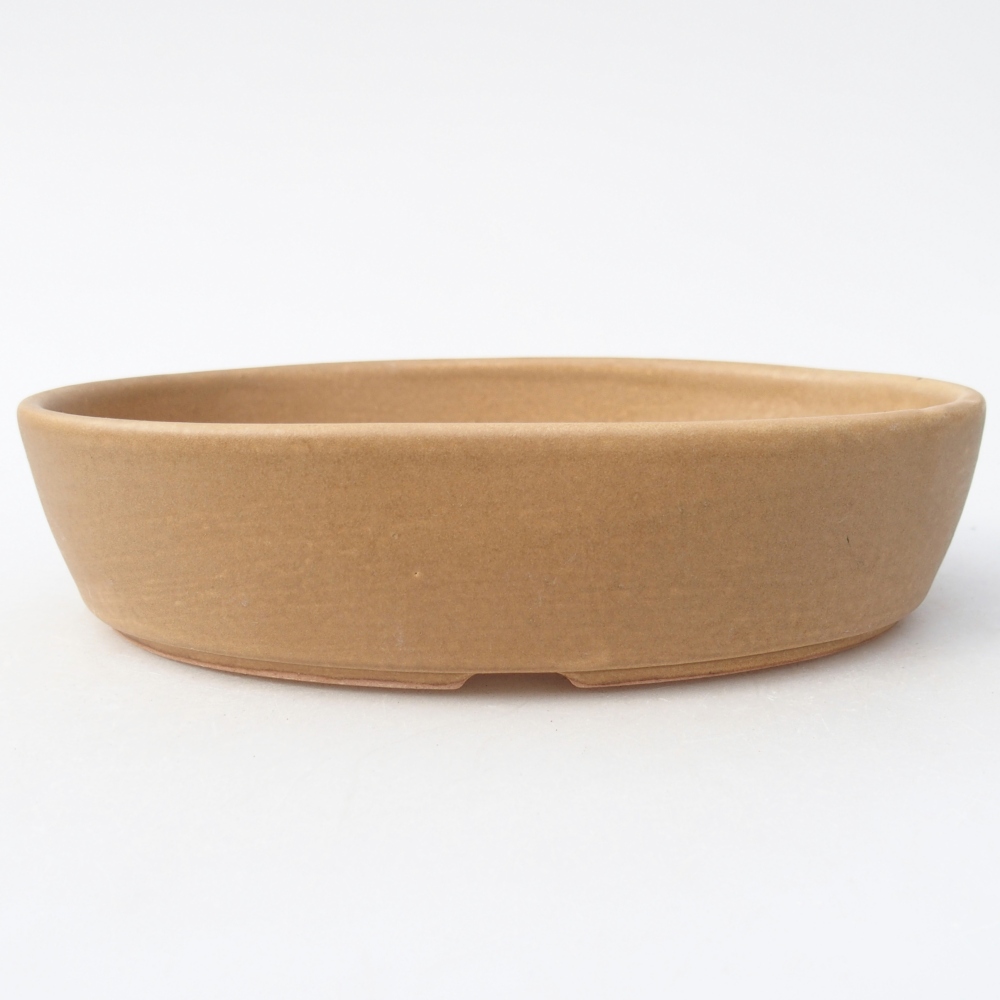 Ceramiczna miska do bonsai 18,5 x 13,5 x 4,5 cm, kolor beżowy