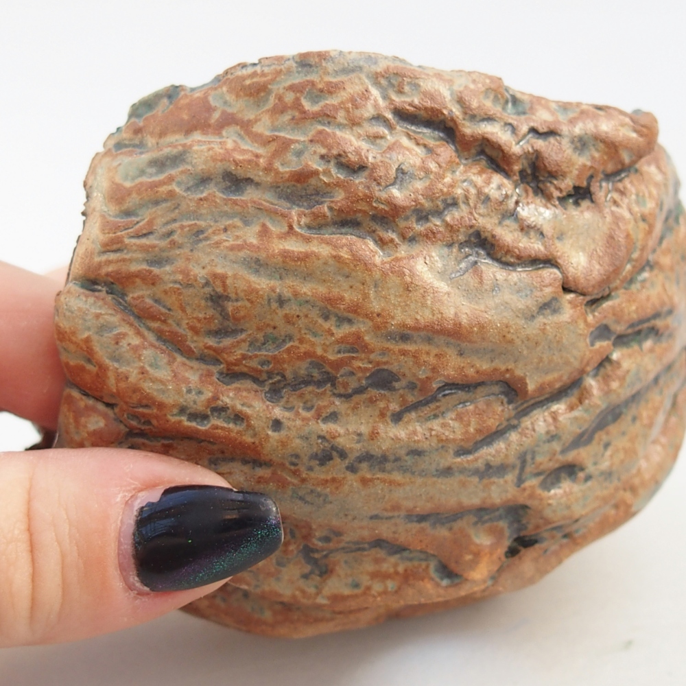 Ceramiczna muszla 9,5 x 9,5 x 6,5 cm, kolor brązowo-zielony