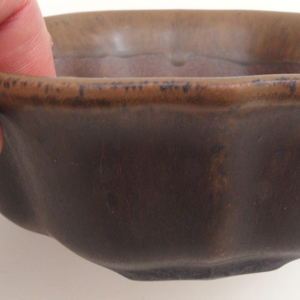 Bonsai bowl H16 - 14,5 x 14,5 x 5 cm. - brązowy