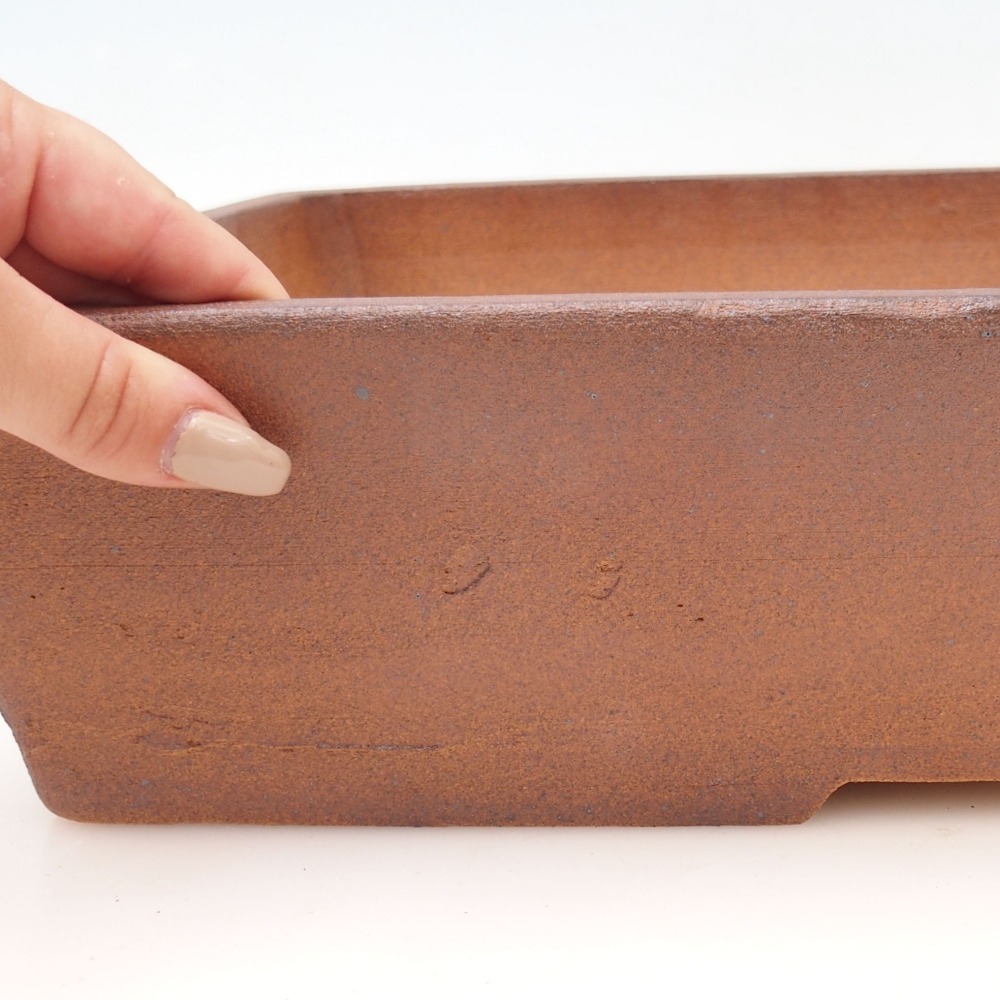 Misa do bonsai 41,5 x 33 x 9 cm, kolor brązowy - WYŁĄCZNIE ODBIÓR OSOBISTY LUB TRANSPORT PALETOWY