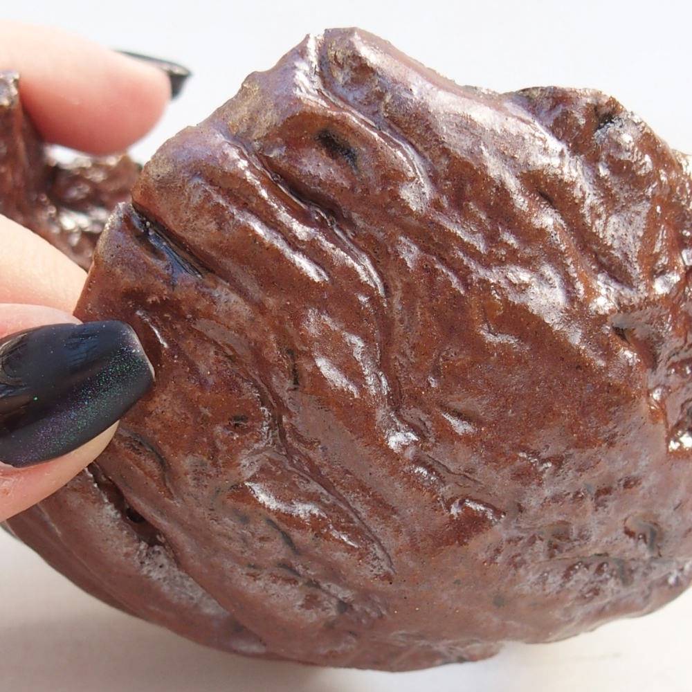 Muszla ceramiczna 10 x 10 x 7 cm, kolor brązowy