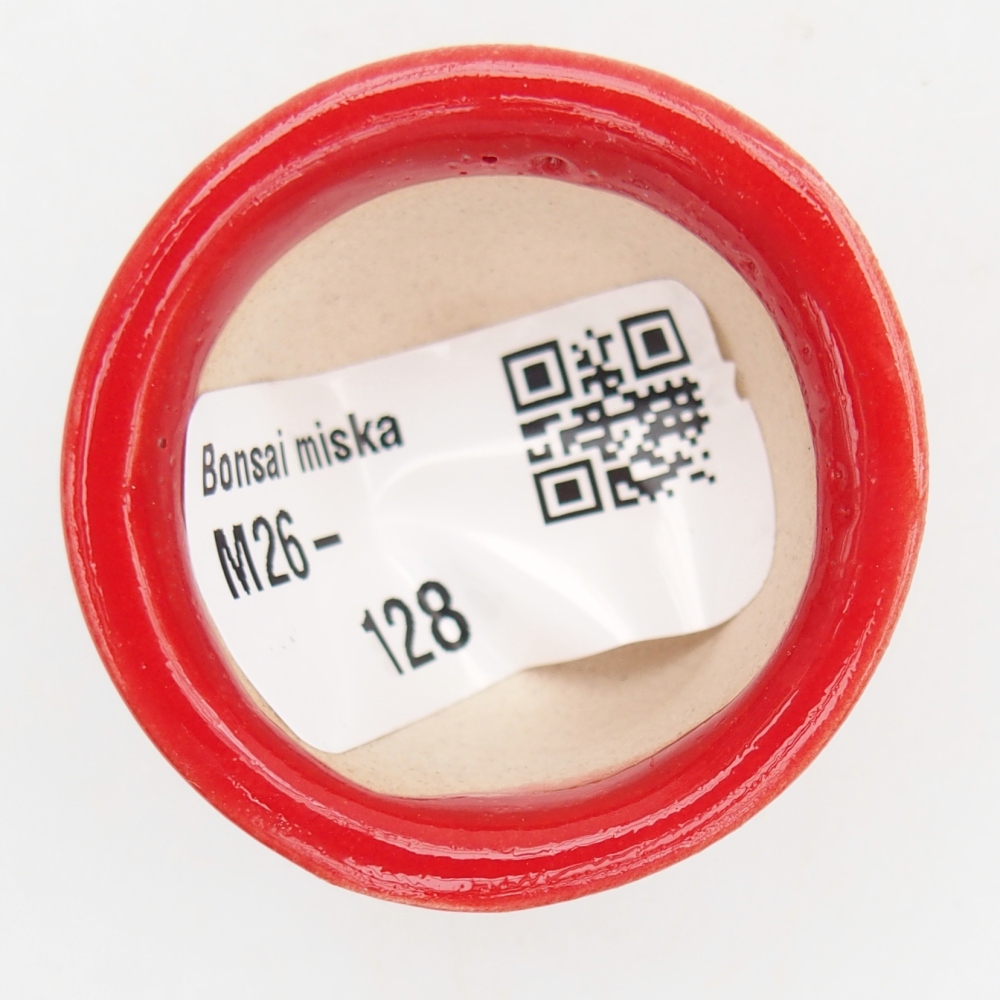 Mini miska do bonsai 4 x 4 x 2,5 cm, kolor czerwony