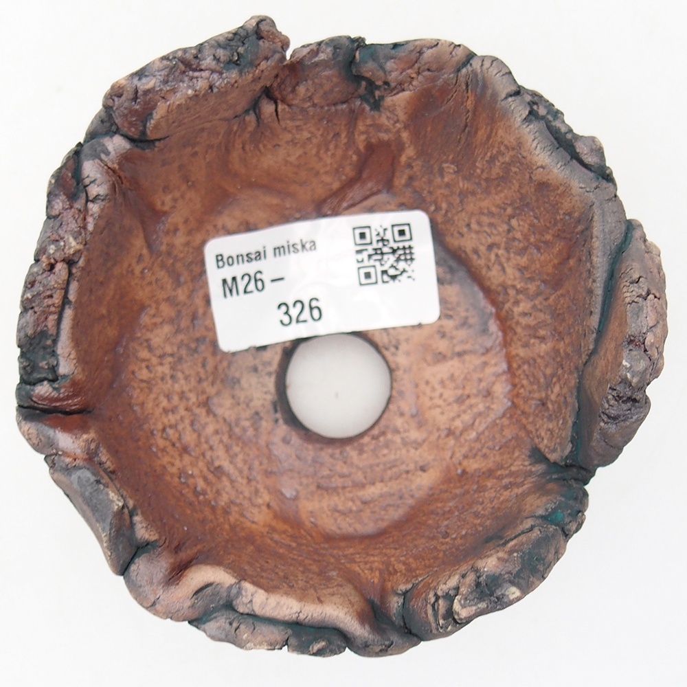 Ceramiczna muszla 9 x 9 x 6 cm, kolor zielony