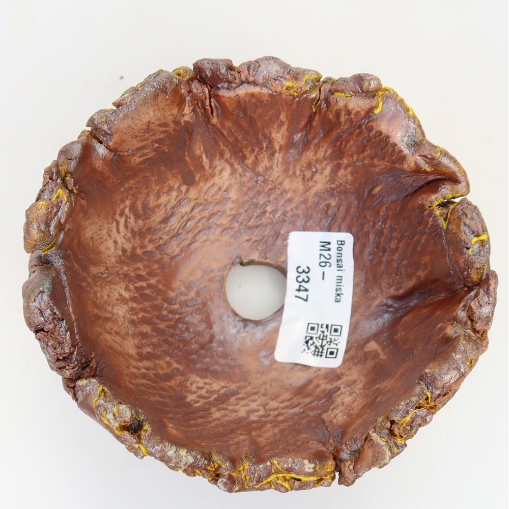 Ceramiczna skorupka  11 x 11 x 7 cm, kolor żółty
