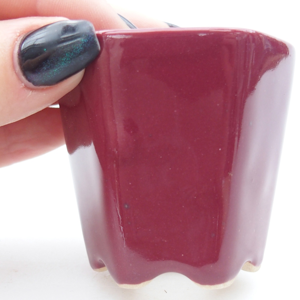 Mini miska do bonsai 5,5 x 5 x 5 cm, kolor bordowy