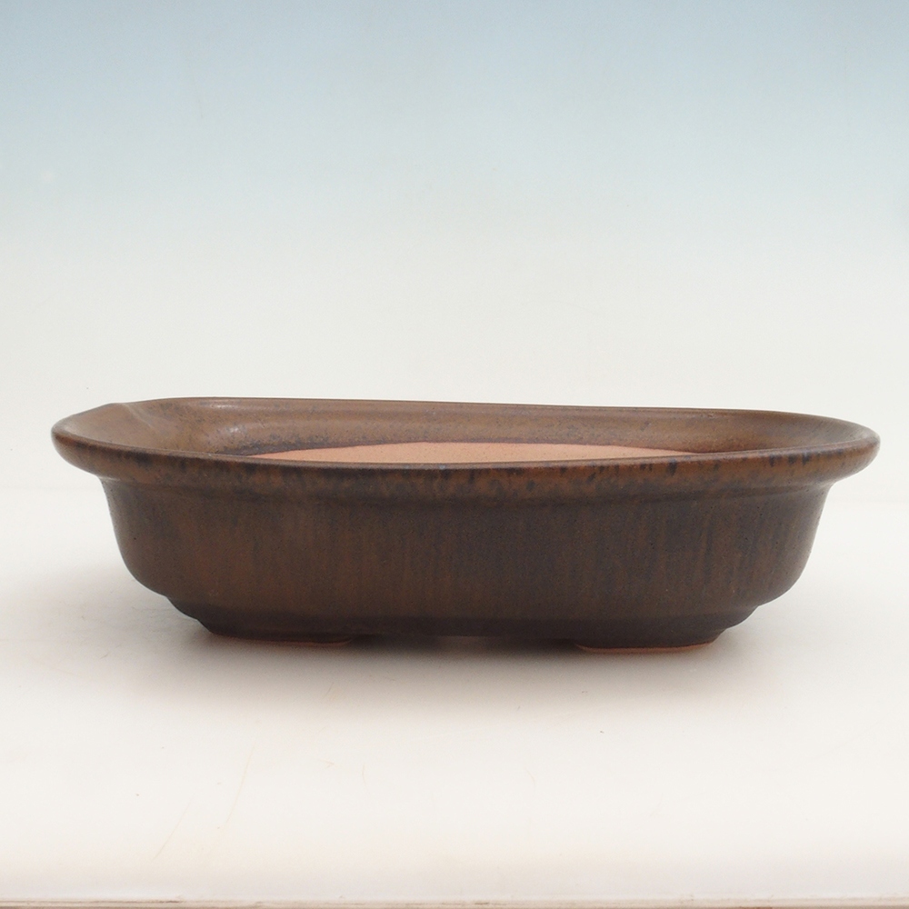 Bonsai bowl H25 - 23 x 17 x 5,5 cm. - brązowy