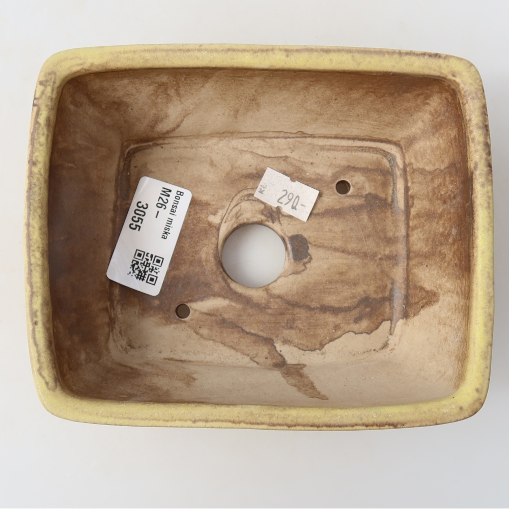 Ceramiczna miska do bonsai 15 x 12,5 x 5,5 cm, kolor żółty